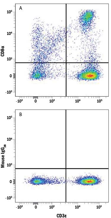 Human peripheral blood mononuclear cell (PBMC) lymphocytes were stained with Mouse Anti-Human CD3e PE-conjugated Monoclonal Antibody (Catalog # FAB100P) and either (A) Mouse Anti-Human CD8a Alexa Fluor® 647-conjugated Monoclonal Antibody (Catalog # FAB1509R) or (B) Mouse IgG2BAlexa Fluor 647 Isotype Control (Catalog # IC0041R). View our protocol for Staining Membrane-associated Proteins.