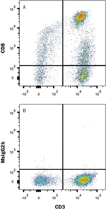 Human peripheral blood lymphocytes were stained with (A) Mouse Anti-Human CD8 alpha Monoclonal Antibody (Catalog # MAB1509) or (B) Mouse IgG2B isotype control antibody (Catalog # MAB0041) followed by anti-Mouse IgG PE-conjugated secondary antibody (Catalog # F0102B) and Mouse Anti-Human CD3 epsilon APC-conjugated Monoclonal Antibody (Catalog # FAB100A). View our protocol for Staining Membrane-associated Proteins.