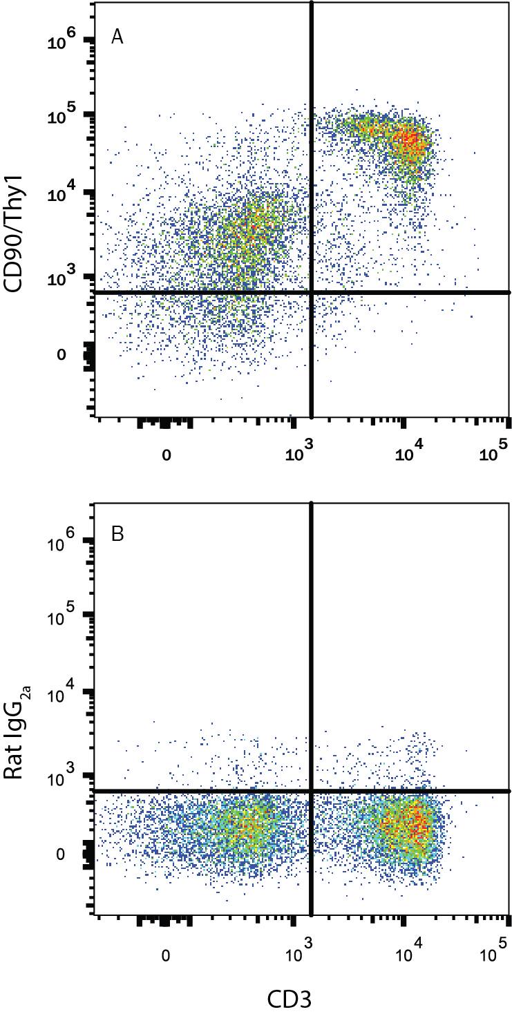 Mouse splenocytes were stained with Rat Anti-Mouse CD3 PE-conjugated Monoclonal Antibody (Catalog # FAB4841P) and either (A) Rat Anti-Mouse CD90/Thy1 Alexa Fluor® 647-conjugated Monoclonal Antibody (Catalog # FAB7335R) or (B) Rat IgG2A Alexa Fluor 647 Isotype Control (Catalog # IC006R). View our protocol for Staining Membrane-associated Proteins.