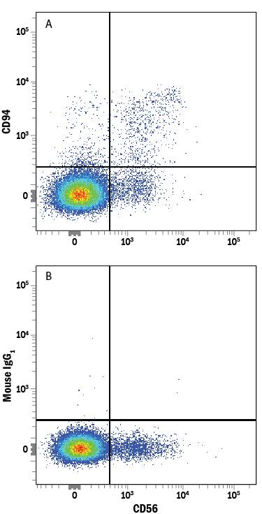 Human peripheral blood mononuclear cells (PBMCs) were stained with Mouse Anti-Human NCAM-1/CD56 PE-conjugated Monoclonal Antibody (Catalog # FAB2408P) and either (A) Mouse Anti-Human CD94 APC-conjugated Monoclonal Antibody (Catalog # FAB1058A) or (B) Mouse IgG1Allophycocyanin Isotype Control (Catalog # IC002A). View our protocol for Staining Membrane-associated Proteins.