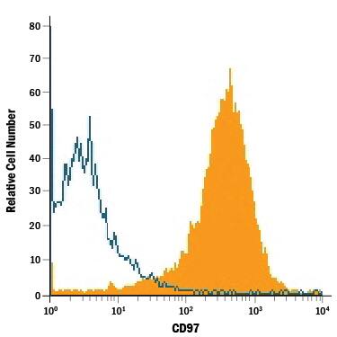 Mouse splenocytes were stained with Goat Anti-Mouse CD97 isoform 1 Antigen Affinity-purified Polyclonal Antibody (Catalog # AF3734, filled histogram) or isotype control antibody (Catalog # AB-108-C, open histogram), followed by Phycoerythrin-conjugated Anti-Goat IgG Secondary Antibody (Catalog # F0107).