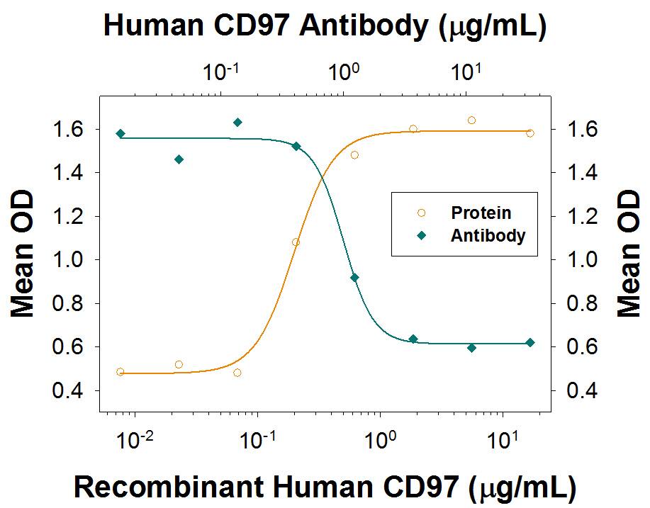 Recombinant Human CD97 (Catalog # 2529-CD), immobil-ized onto a microplate, supports the adhesion of human red blood cells in a dose-dependent manner (orange line). Adhesion elicited by Recombinant Human CD97 (4 µg/mL) is neutralized (green line) by increasing concentrations of Mouse Anti-Human CD97 Monoclonal Antibody (Catalog # MAB25291R). The ND50 is typically 0.25-1.25 µg/mL.