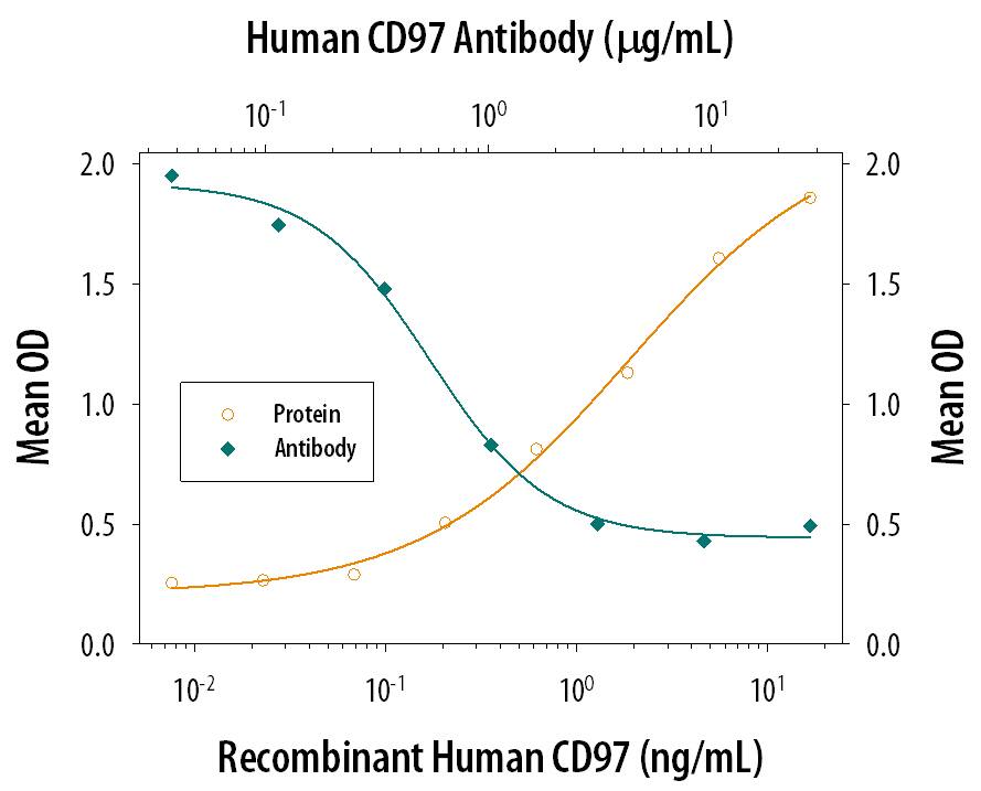 Recombinant Human CD97 (Catalog # 2529-CD), immobil-ized onto a microplate, supports the adhesion of human red blood cells in a dose-dependent manner (orange line). Adhesion elicited by Recombinant Human CD97 (4 µg/mL) is neutralized (green line) by increasing concentrations of Mouse Anti-Human CD97 Monoclonal Antibody (Catalog # MAB25291). The ND50 is typically 0.25-1.25 µg/mL.