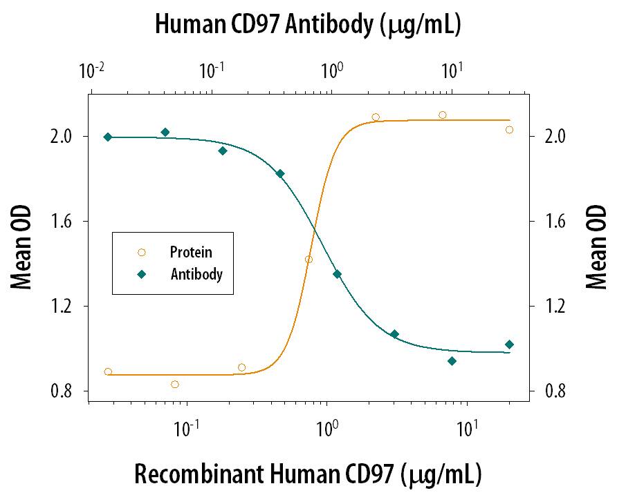 Recombinant Human CD97 (Catalog # 2529-CD), immobil-ized onto a microplate, supports the adhesion of human red blood cells in a dose-dependent manner (orange line). Adhesion elicited by Recombinant Human CD97 (4 µg/mL) is neutralized (green line) by increasing concentrations of Mouse Anti-Human CD97 Monoclonal Antibody (Catalog # MAB2529). The ND50 is typically 0.5-2.5 µg/mL.