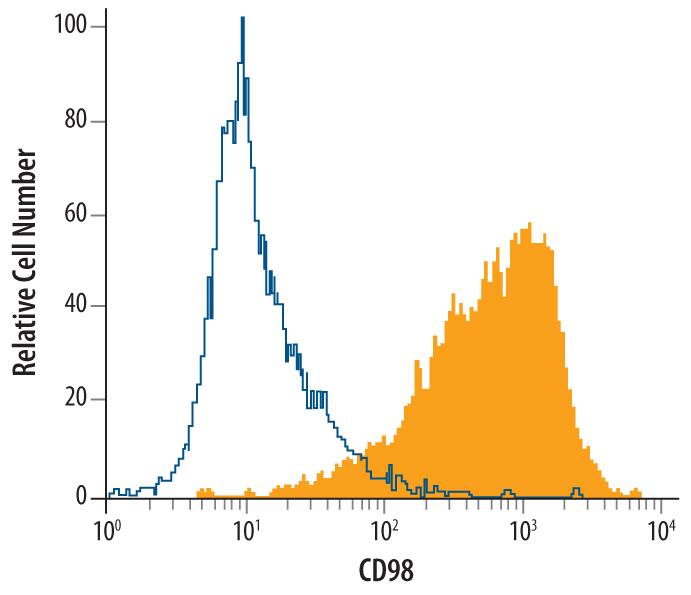 K562 human chronic myelogenous leukemia cell line was stained with Mouse Anti-Human CD98 Monoclonal Antibody (Catalog # MAB5920, filled histogram) or isotype control antibody (Catalog # MAB003, open histogram), followed by Phycoerythrin-conjugated Anti-Mouse IgG F(ab')2Secondary Antibody (Catalog # F0102B).