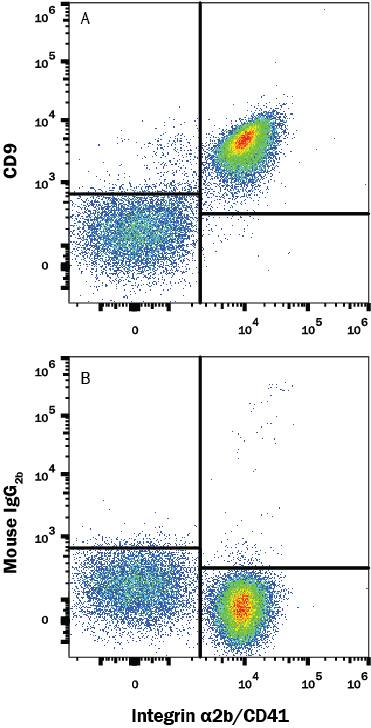 Human peripheral blood platelets were stained with A) Mouse Anti-Human CD9 Monoclonal Antibody (Catalog # MAB25292) or B) isotype control antibody (Catalog # MAB0041) followed by anti-Mouse IgG PE-conjugated Secondary Antibody (Catalog # F0102B) and Mouse anti-Human Integrin alpha 2b/CD41 APC-conjugated antibody (Catalog # FAB7616A). View our protocol for Staining Membrane-associated Proteins.