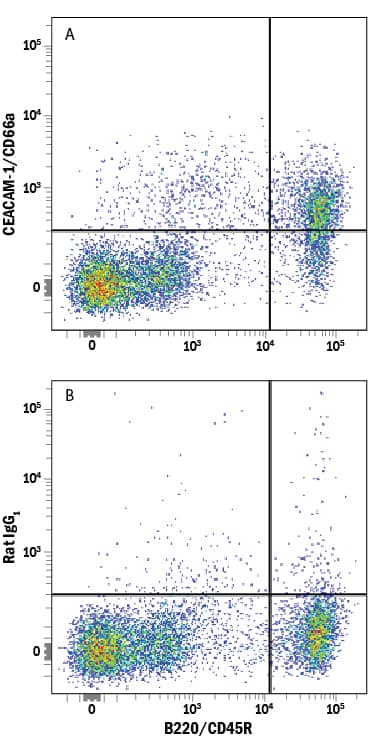 Mouse splenocytes were stained with Rat Anti-Mouse B220/CD45R PE-conjugated Monoclonal Antibody (Catalog # FAB1217P) and either (A) Rat Anti-Mouse CEACAM-1/CD66a Alexa Fluor® 700-conjugated Monoclonal Antibody (Catalog # FAB6480N) or (B) Rat IgG1Alexa Fluor 700 Isotype Control (Catalog # IC005N). View our protocol for Staining Membrane-associated Proteins.