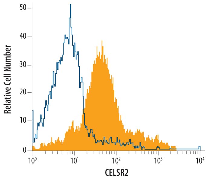 SH-SY5Y human neuroblastoma cell line was stained with Goat Anti-Human CELSR2 Antigen Affinity-purified Polyclonal Antibody (Catalog # AF6739, filled histogram) or isotype control antibody (Catalog # AB-108-C, open histogram), followed by Allophycocyanin-conjugated Anti-Goat IgG Secondary Antibody (Catalog # F0108).
