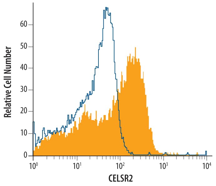 bEnd.3 mouse endothelioma cell line was stained with Goat Anti-Human CELSR2 Antigen Affinity-purified Polyclonal Antibody (Catalog # AF6739, filled histogram) or isotype control antibody (Catalog # AB-108-C, open histogram), followed by Allophycocyanin-conjugated Anti-Goat IgG Secondary Antibody (Catalog # F0108).