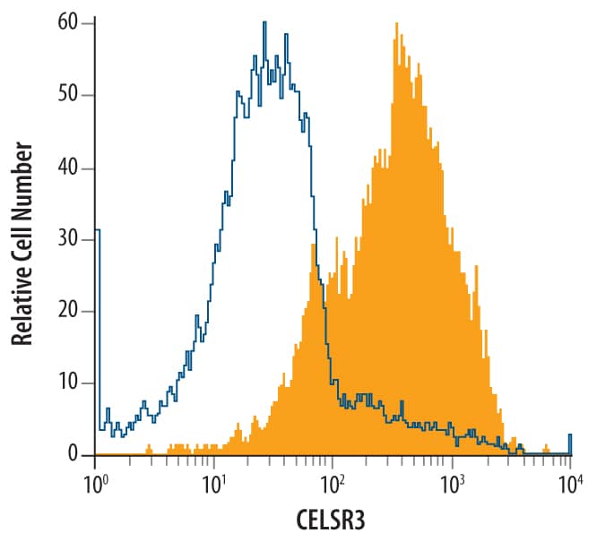 Flow Cytometry Flamingo homolog 1/CELSR3 Antibody