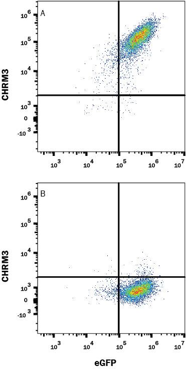 Flow Cytometry Muscarinic Acetylcholine Receptor M3/CHRM3 Antibody (580011) [Unconjugated]