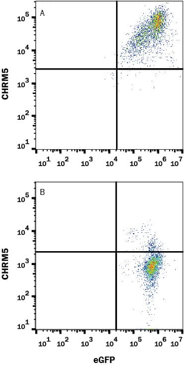 Flow Cytometry Muscarinic Acetylcholine Receptor M5/CHRM5 Antibody (590123) [Unconjugated]