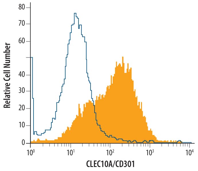 Immature human dendritic cells were stained with Mouse Anti-Human CLEC10A/CD301 Monoclonal Antibody (Catalog # MAB48881, filled histogram) or isotype control antibody (Catalog # MAB0041, open histogram), followed by Allophycocyanin-conjugated Anti-Mouse IgG Secondary Antibody (Catalog # F0101B).