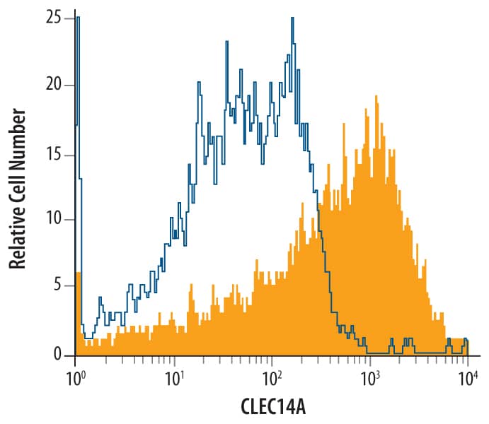 HUVEC human umbilical vein endothelial cells were stained with Sheep Anti-Human CLEC14A Antigen Affinity-purified Polyclonal Antibody (Catalog # AF4968, filled histogram) or isotype control antibody (Catalog # 5-001-A, open histogram), followed by Phycoerythrin-conjugated Anti-Sheep IgG Secondary Antibody (Catalog # F0126).