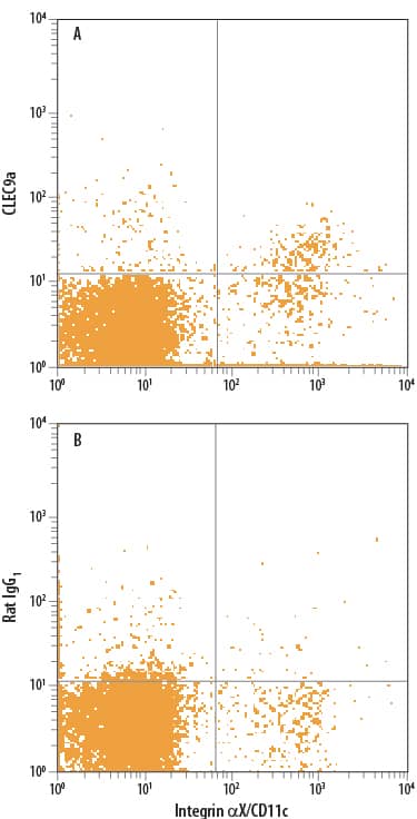Mouse splenocytes were stained with Anti-Mouse Integrin aX/CD11c PE-conjugated Monoclonal Antibody and either (A) Rat Anti-Mouse CLEC9a Monoclonal Antibody (Catalog # MAB67761) or (B) Rat IgG1Isotype Control (Catalog # MAB005) followed by Allophycocyanin-conjugated Anti-Rat IgG Secondary Antibody (Catalog # F0113).