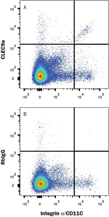 Mouse splenocytes were stained with (A) Rabbit Anti-Mouse CLEC9a Monoclonal Antibody (Catalog # MAB67762) or (B) Rabbit IgG Isotype Control (Catalog # MAB1050) followed by PE-conjugated Anti-Rabbit IgG Secondary Antibody (Catalog # F0110) and Anti-Mouse Integrin alpha X/CD11c Alexa Fluor® 647-conjugated Monoclonal Antibody (Catalog # FAB69051R). View our protocol for Staining Membrane-associated Proteins.