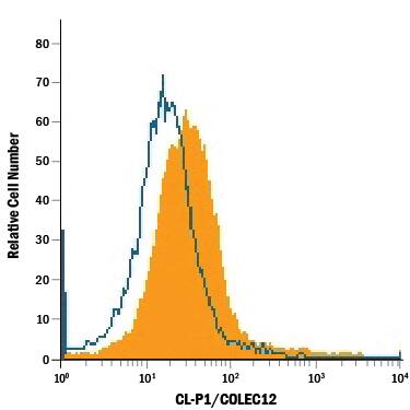 Flow Cytometry CL-P1/COLEC12 Antibody