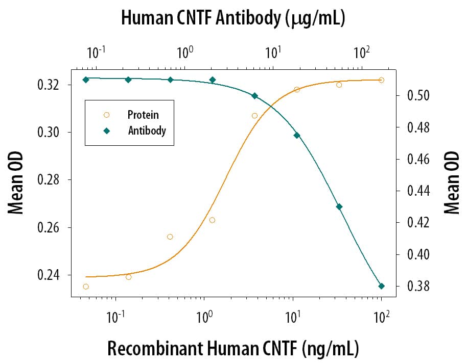 Recombinant Human CNTF (Catalog # 257-NT) supports the survival of dorsal root ganglion neurons from E10 chick embryos in a dose-dependent manner (orange line), as measured by MTT staining. Neuron survival elicited by Recombinant Human CNTF (10 ng/mL) is neutralized (green line) by increasing concentrations of Goat Anti-Human CNTF Polyclonal Antibody (Catalog # AB-257-NA). The ND50 is typically 15-30 µg/mL.