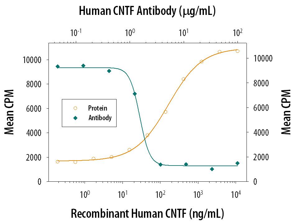 Neutralization CNTF Antibody [Unconjugated]