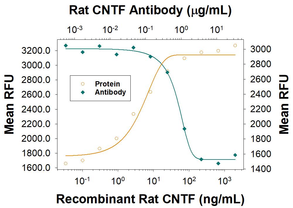 Neutralization CNTF Antibody [Unconjugated]