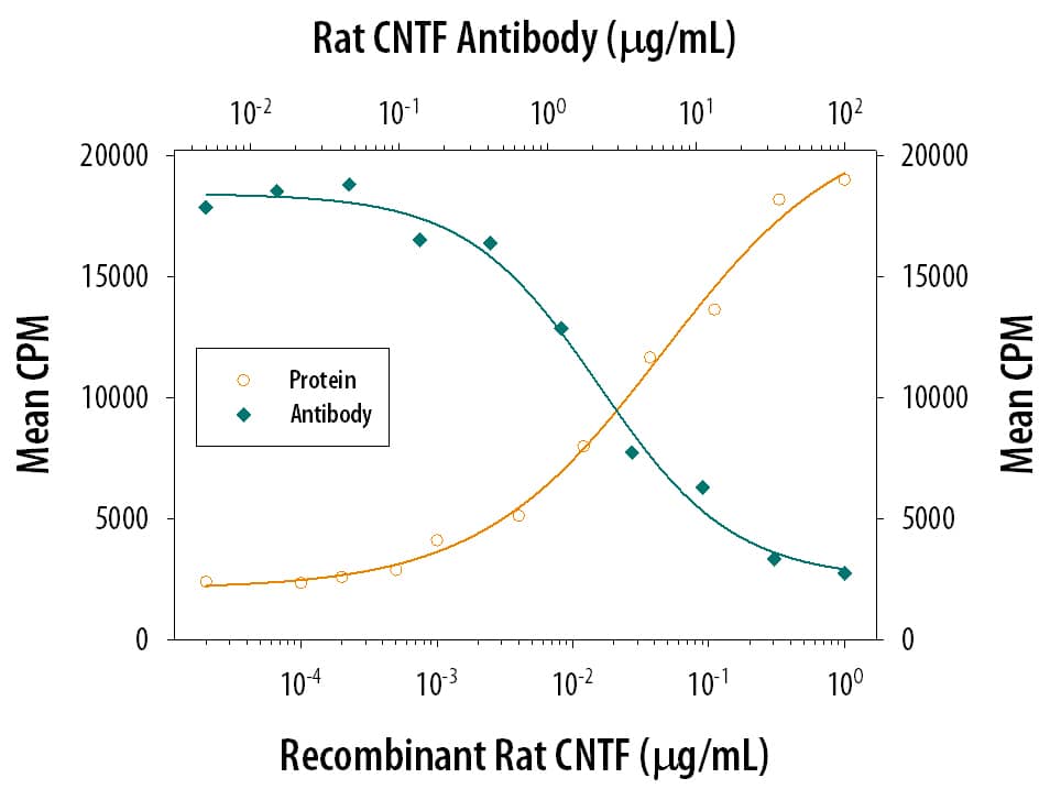 Recombinant Rat CNTF (Catalog # 557-NT) stimulates proliferation in the TF‑1 human erythroleukemic cell line in a dose-dependent manner (orange line). Proliferation elicited by Recombinant Rat CNTF (200 ng/mL) is neutralized (green line) by increasing concentrations of Mouse Anti-Rat CNTF Monoclonal Antibody (Catalog # MAB557). The ND50 is typically 1-3 µg/mL.