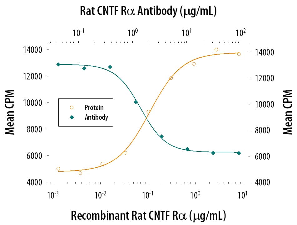 Recombinant Rat CNTF Ra (Catalog # 558-CR) enhances Recombinant Rat CNTF (Catalog # 557-NT) induced proliferation in the TF-1 human erythroleukemic cell line in a dose-dependent manner (orange line). Enhancement of Recombinant Rat CNTF (10 ng/mL) activity elicited by Recombinant Rat CNTF Ra (0.25 µg/mL) is neutralized (green line) by increasing concentrations of Goat Anti-Rat CNTF Ra Antigen Affinity-purified Polyclonal Antibody (Catalog # AF-559-NA). The ND50 is typically 2-6 µg/mL.