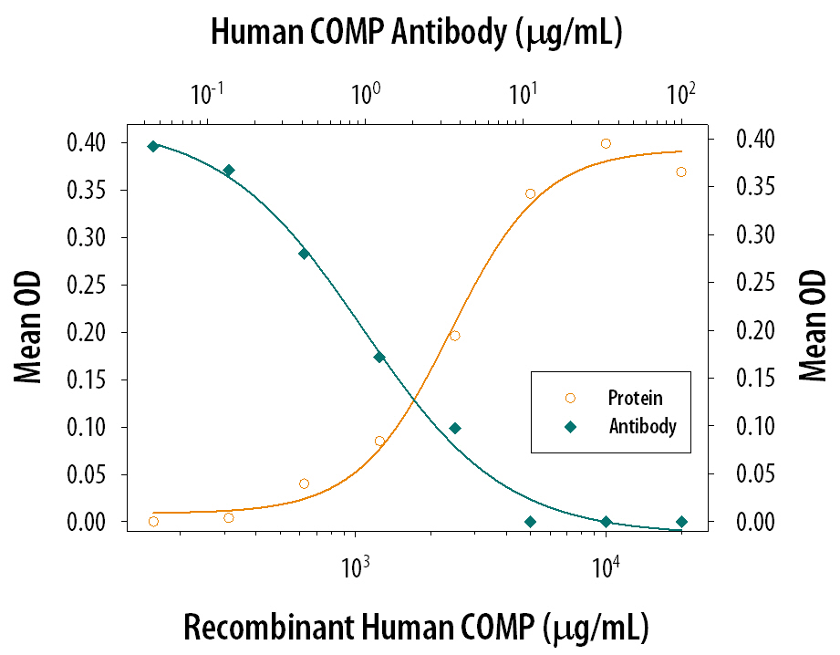 Recombinant Human COMP/Thrombospondin-5 (Catalog # 3134-CP), immobilized onto a microplate, supports the adhesion of the ATDC5 mouse chondrogenic cell line in a dose-dependent manner (orange line). Adhesion elicited by Recombinant Human COMP/Thrombospondin-5 (10 µg/mL) is neutralized (green line) by increasing concentrations of Goat Anti-Human COMP/Thrombo-spondin-5 Antigen Affinity-purified Polyclonal Antibody (Catalog # AF3134). The ND50 is typically 1-4 µg/mL.