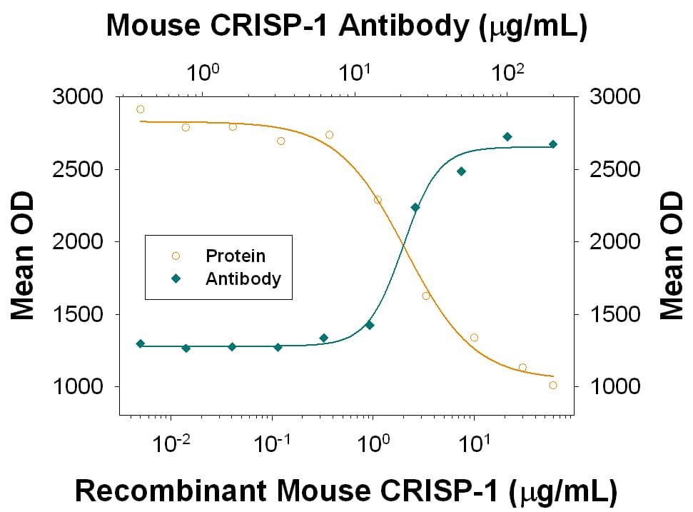 Neutralization CRISP-1 Antibody (840017) [Unconjugated]