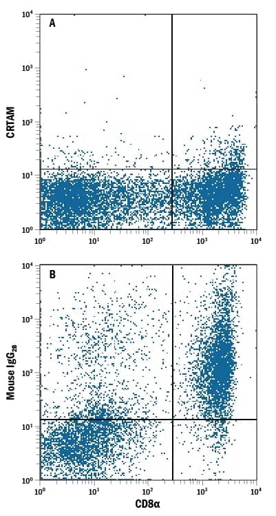 Human peripheral blood mononuclear cells (PBMCs) either (A) untreated or (B) treated with PMA and Calcium Ionomycin for 24 hours were stained with Mouse Anti-Human CRTAM PE-conjugated Monoclonal Antibody (Catalog # FAB16951P) and Mouse Anti-Human CD8a APC-conjugated Monoclonal Antibody (Catalog # FAB1509A). Quadrant markers were set based on control antibody staining (Catalog # IC0041P). View our protocol for Staining Membrane-associated Proteins.