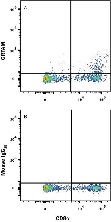 Human peripheral blood mononuclear cells (PBMCs) treated with PMA and Calcium Ionomycin for 24 hours were stained with Mouse Anti-Human CD8 alpha PE-conjugated Monoclonal Antibody (Catalog # FAB1509P) and (A) Mouse Anti-Human CRTAM Alexa Fluor® 750-conjugated Monoclonal Antibody (Catalog # FAB16951S) or (B) Isotype control antibody (Catalog # IC0041S). View our protocol for Staining Membrane-associated Proteins.