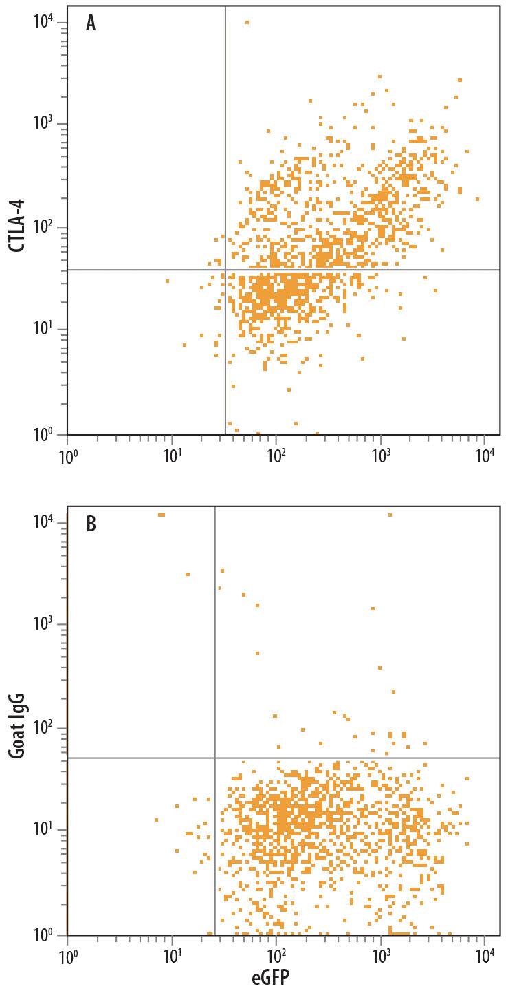 Flow Cytometry CTLA-4 Antibody [Unconjugated]