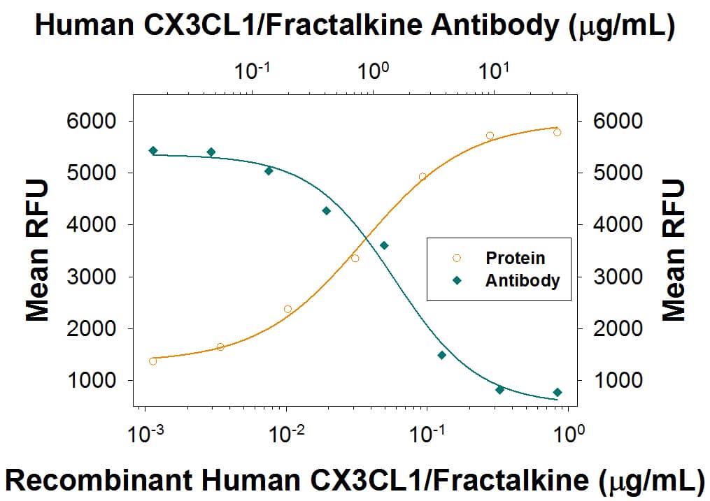Neutralization CX3CL1/Fractalkine Antibody [Unconjugated]