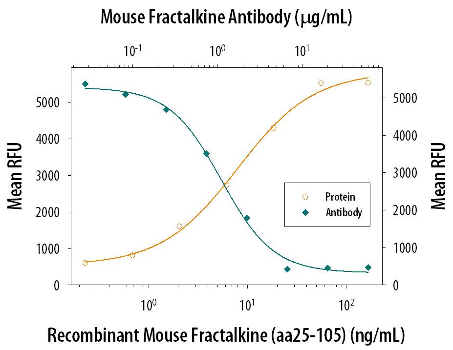 Neutralization CX3CL1/Fractalkine Antibody [Unconjugated]