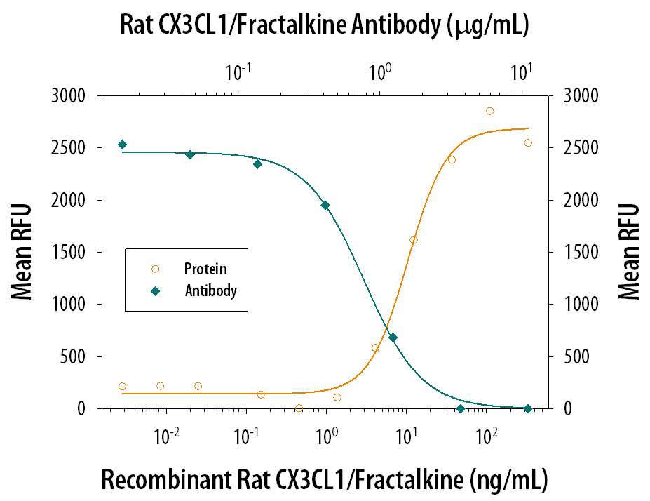 Neutralization CX3CL1/Fractalkine Antibody [Unconjugated]