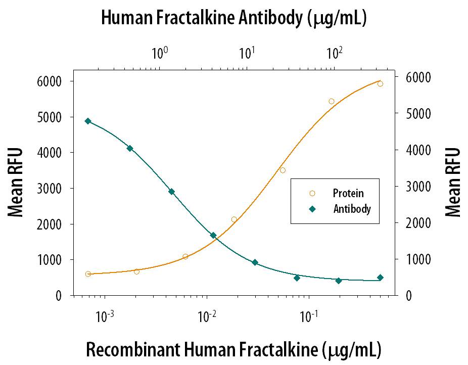 Recombinant Human CX3CL1/Fractalkine (Catalog # 365-FR) chemoattracts the BaF3 mouse pro-B cell line transfected with mouse CX3CR1 in a dose-dependent manner (orange line). The amount of cells that migrated through to the lower chemotaxis chamber was measured by Resazurin (Catalog # AR002). Chemotaxis elicited by Recombinant Human CX3CL1/Fractalkine (100 ng/mL) is neutralized (green line) by increasing concentrations of Mouse Anti-Human CX3CL1/Fractalkine Chemokine Domain Monoclonal Antibody (Catalog # MAB3652). The ND50 is typically 1-5 µg/mL.