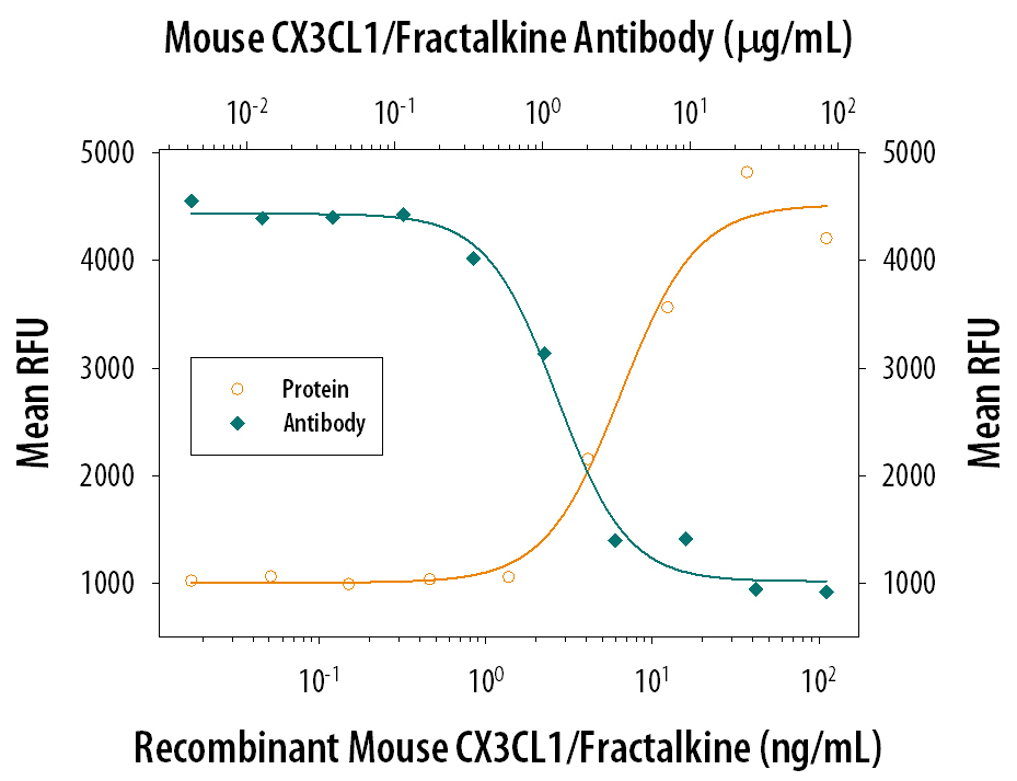 Recombinant Mouse CX3CL1/Fractalkine (Catalog # 571-MF) chemoattracts the BaF3 mouse pro-B cell line transfected with human CX3CR1 in a dose-dependent manner (orange line). The amount of cells that migrated through to the lower chemotaxis chamber was measured by Resazurin (Catalog # AR002). Chemotaxis elicited by Recombinant Mouse CX3CL1/Fractalkine (30 ng/mL) is neutralized (green line) by increasing concentrations of Rat Anti-Mouse CX3CL1/Fractalkine Chemokine Domain Monoclonal Antibody (Catalog # MAB571). The ND50 is typically 0.75-3.5 µg/mL.