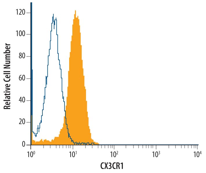 Flow Cytometry CX3CR1 Antibody [Unconjugated]