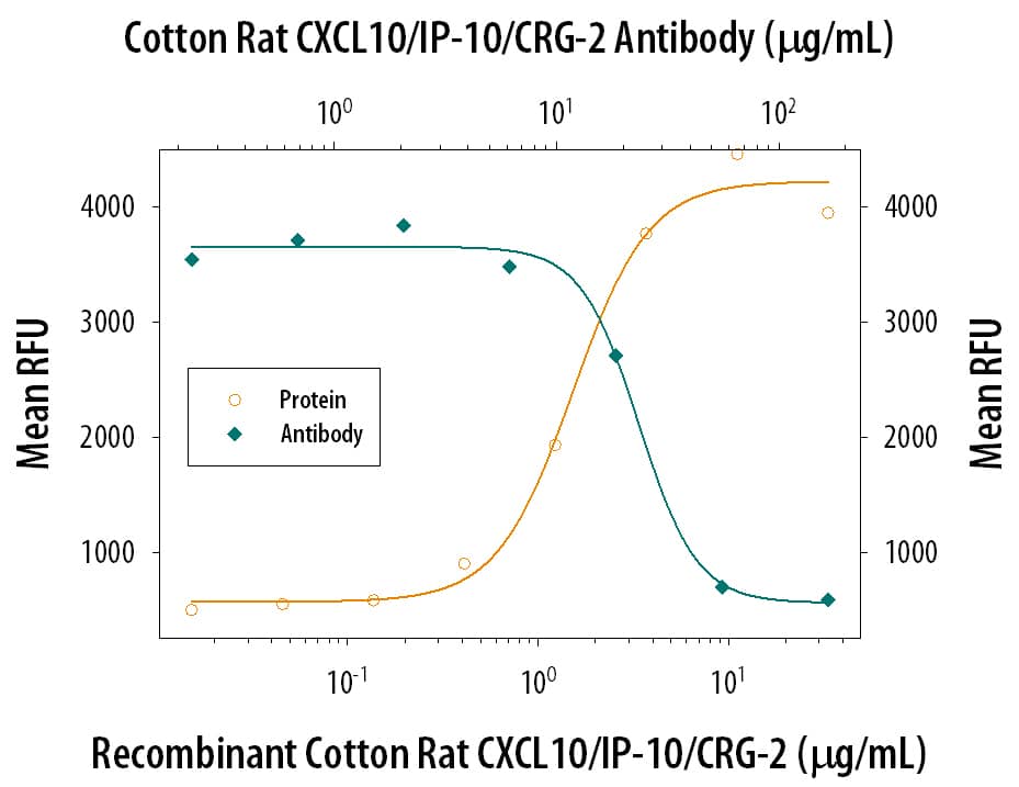 Recombinant Cotton Rat CXCL10/IP-10/CRG-2 (Catalog # 1117-IP) chemo-attracts the BaF3 mouse pro-B cell line transfected with mouse CXCR3 in a dose-dependent manner (orange line). The amount of cells that migrated through to the lower chemotaxis chamber was measured by Resazurin (Catalog # AR002). Chemotaxis elicited by Recombinant Cotton Rat CXCL10/IP-10/CRG-2 (10 µg/mL) is neutralized (green line) by increasing concentrations of Mouse Anti-Cotton Rat CXCL10/ IP-10/CRG-2 Monoclonal Antibody (Catalog # MAB1117). The ND50 is typically 20-40 µg/mL.