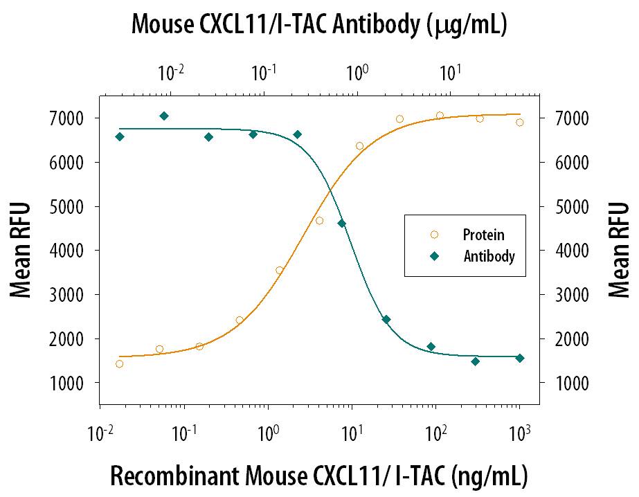 Recombinant Mouse CXCL11/ I-TAC (Catalog # 572-MC) chemo-attracts the BaF3 mouse pro-B cell line transfected with human CXCR3 in a dose-dependent manner (orange line). The amount of cells that migrated through to the lower chemotaxis chamber was measured by Resazurin (Catalog # AR002). Chemotaxis elicited by Recombinant Mouse CXCL11/ I-TAC (50 ng/mL) is neutralized (green line) by increasing concentrations of Rat Anti-Mouse CXCL11/I-TAC Monoclonal Antibody (Catalog # MAB572). The ND50 is typically 0.4-2.0 µg/mL.