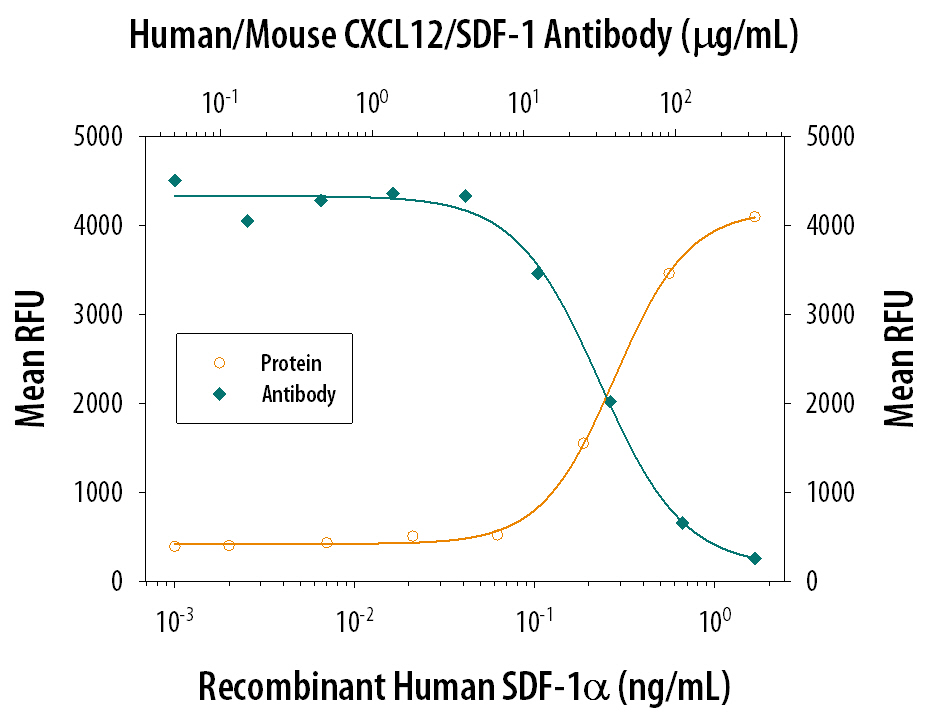 Neutralization CXCL12/SDF-1 Antibody (79014) [Unconjugated]