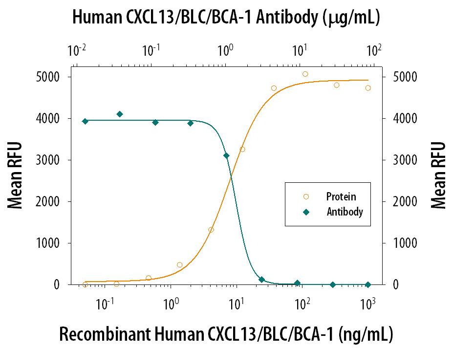 Recombinant Human CXCL13/BLC/BCA-1 (Catalog # 801-CX) chemoattracts the BaF3 mouse pro-B cell line transfected with human CXCR5 in a dose-dependent manner (orange line). The amount of cells that migrated through to the lower chemotaxis chamber was measured by Resazurin. Chemotaxis elicited by Recombinant Human CXCL13/BLC/BCA-1 (50 ng/mL) is neutralized (green line) by increasing concentrations of Goat Anti-Human CXCL13/BLC/BCA-1 Antigen Affinity-purified Polyclonal Antibody (Catalog # AF801). The ND50 is typically 1-4 µg/mL.