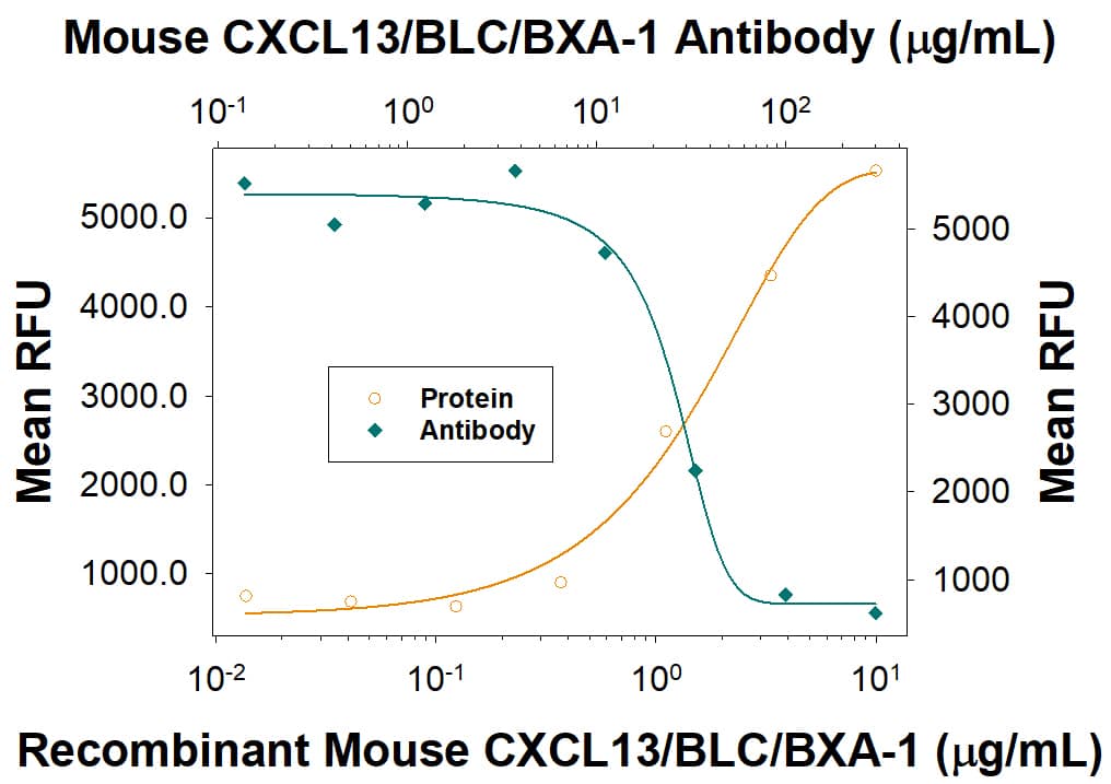 Recombinant Mouse CXCL13/BLC/BCA-1 (Catalog # 470-BC) chemoattracts the BaF3 mouse pro-B cell line transfected with human CXCR5 in a dose-dependent manner (orange line). The amount of cells that migrated through to the lower chemotaxis chamber was measured by Resazurin (Catalog # AR002). Chemotaxis elicited by Recombinant Mouse CXCL13/BLC/BCA-1 (4 µg/mL) is neutralized (green line) by increasing concentrations of Rat Anti-Mouse CXCL13/BLC/BCA-1 Monoclonal Antibody (Catalog # MAB4701). The ND50 is typically 12-30 µg/mL.