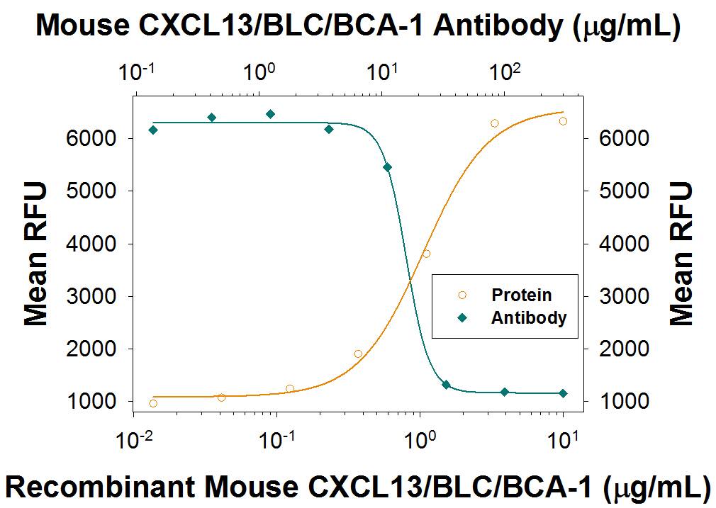 Recombinant Mouse CXCL13/BLC/BCA-1 (Catalog # 470-BC) chemoattracts the BaF3 mouse pro-B cell line transfected with human CXCR5 in a dose-dependent manner (orange line). The amount of cells that migrated through to the lower chemotaxis chamber was measured by Resazurin (Catalog # AR002). Chemotaxis elicited by Recombinant Mouse CXCL13/BLC/BCA-1 (4 µg/mL) is neutralized (green line) by increasing concentrations of Recombinant Mouse CXCL13/BLC/BCA-1 Monoclonal Antibody (Catalog # MAB470R). The ND50 is typically 12-30 µg/mL.