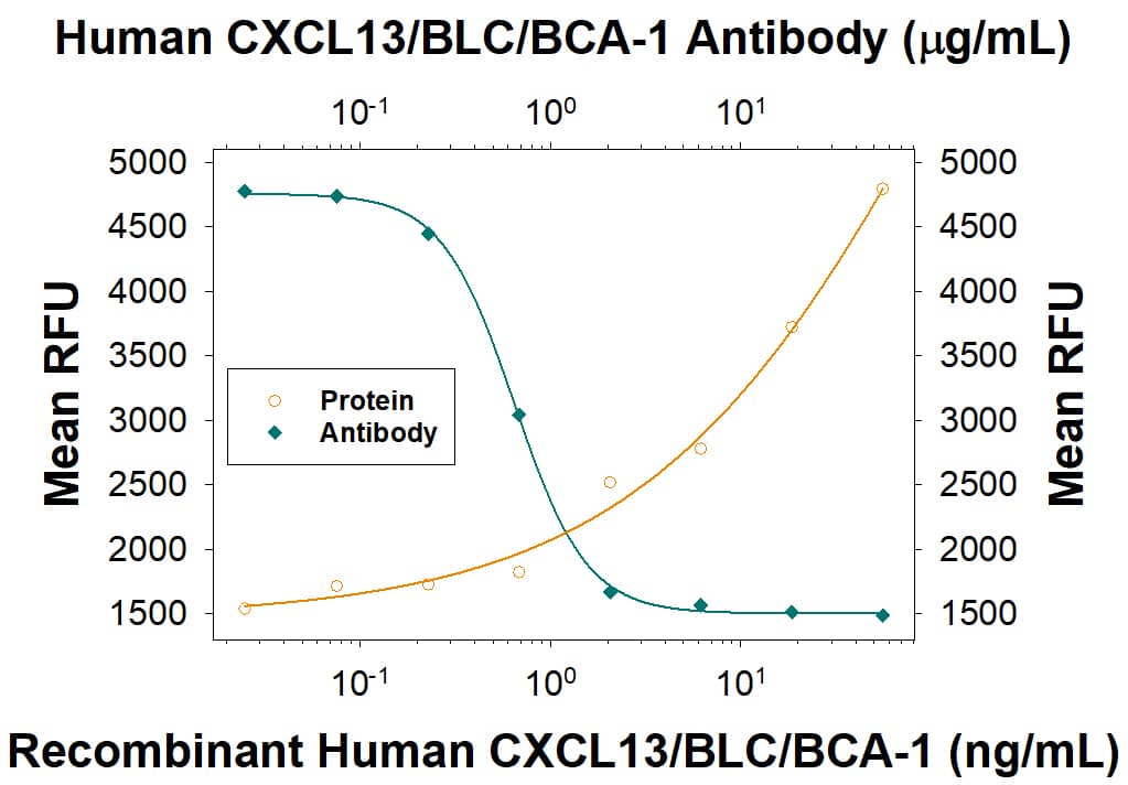 Recombinant Human CXCL13/BLC/BCA-1 (801-CX) chemoattracts the BaF3 mouse pro-B cell line transfected with human CXCR5 in a dose-dependent manner (orange line). The amount of cells that migrated through to the lower chemotaxis chamber was measured by Resazurin (AR002). Chemotaxis elicited by Recombinant Human CXCL13/BLC/BCA-1 (0.05 µg/mL) is neutralized (green line) by increasing concentrations of Mouse Anti-Human CXCL13/BLC/BCA-1 Monoclonal Antibody (Catalog # MAB8012). The ND50 is typically 0.5‑2.5 µg/mL.