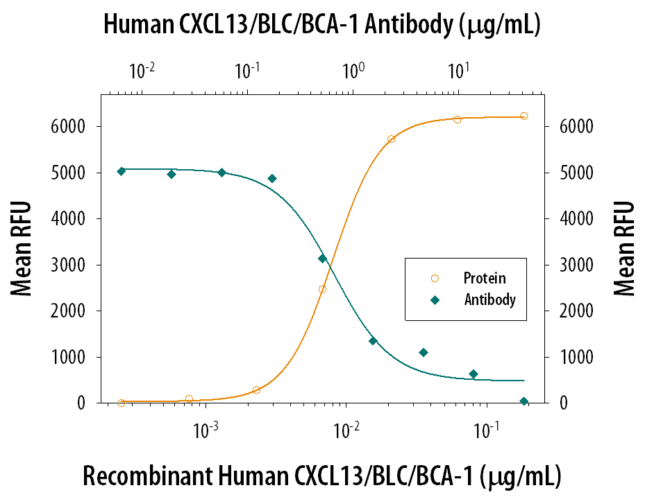 Recombinant Human CXCL13/BLC/BCA-1 (Catalog # 801-CX) chemoattracts the BaF3 mouse pro-B cell line transfected with human CXCR5 in a dose-dependent manner (orange line). The amount of cells that migrated through to the lower chemotaxis chamber was measured by Resazurin (Catalog # AR002). Chemotaxis elicited by Recombinant Mouse Anti-Human CXCL13/BLC/BCA-1 (0.05 µg/mL) is neutralized (green line) by increasing concentrations of Human CXCL13/BLC/BCA-1 Monoclonal Antibody (Catalog # MAB801). The ND50 is typically 0.3-0.9 µg/mL.