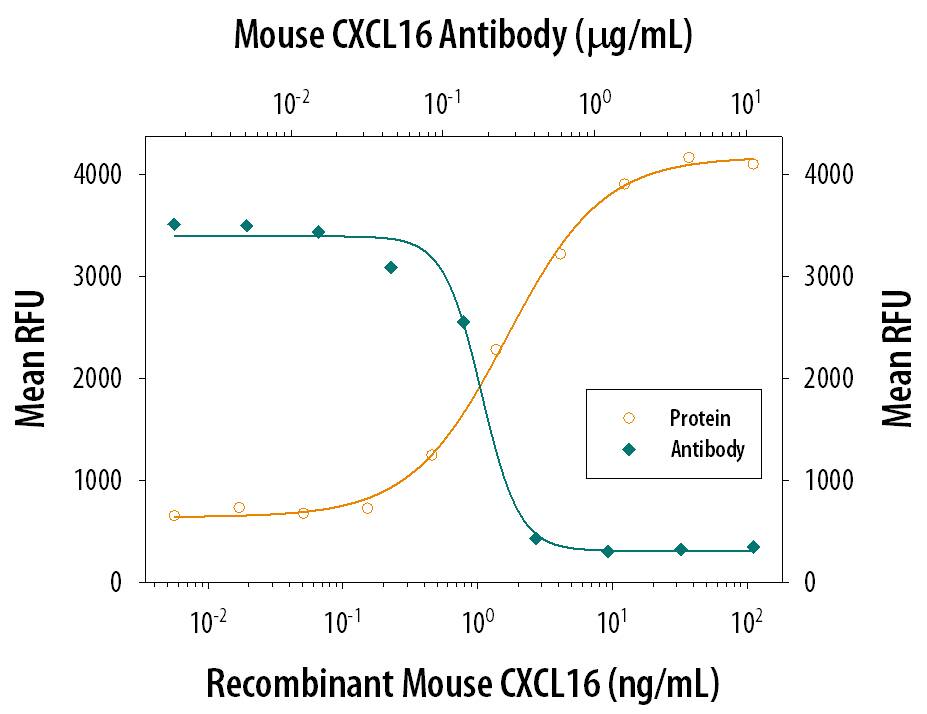 Recombinant Mouse CXCL16 Chemokine Domain (Catalog # 503-CX) chemoattracts the BaF3 mouse pro‑B cell line transfected with mouse CXCR6 in a dose-dependent manner (orange line). The amount of cells that migrated through to the lower chemotaxis chamber was measured by Resazurin (Catalog # AR002). Chemotaxis elicited by Recombinant Mouse CXCL16 Chemokine Domain (7.5 ng/mL) is neutralized (green line) by increasing concentrations of Goat Anti-Mouse CXCL16 Antigen Affinity-purified Polyclonal Antibody (Catalog # AF503). The ND50 is typically 0.1-0.4 µg/mL.