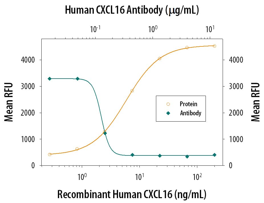 Recombinant Human CXCL16 Chemokine Domain (Catalog # 976-CX) induces chemotaxis in BaF3 mouse pro-B cell line transfected with mouse CXCR6 in a dose-dependent manner (orange line). Chemotaxis elicited by Recombinant Human CXCL16 Chemokine Domain (20 ng/mL) is neutralized (green line) by increasing concentrations of Goat Anti-Human/Primate CXCL16 Antigen Affinity-purified Polyclonal Antibody (Catalog # AF976). The ND50 is typically 0.05-0.25 µg/mL.