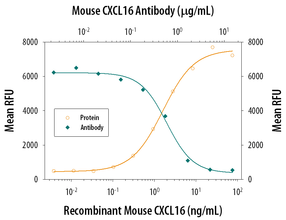Recombinant Mouse CXCL16 Chemokine Domain (Catalog # 503-CX) chemoattracts the BaF3 mouse pro-B cell line transfected with mouse CXCR6 in a dose-dependent manner (orange line). The amount of cells that migrated through to the lower chemotaxis chamber was measured by Resazurin (Catalog # AR002). Chemotaxis elicited by Recombinant Mouse CXCL16 Chemokine Domain (7.5 ng/mL) is neutralized (green line) by increasing concentrations of Rat Anti-Mouse CXCL16 Monoclonal Antibody (Catalog # MAB503). The ND50 is typically 0.15-0.6 µg/mL.