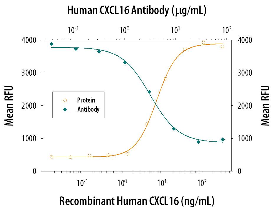 Recombinant Human CXCL16 Chemokine Domain (Catalog # 976-CX) chemoattracts the BaF3 mouse pro‑B cell line transfected with mouse CXCR6 in a dose-dependent manner (orange line). The amount of cells that migrated through to the lower chemotaxis chamber was measured by Resazurin (Catalog # AR002). Chemotaxis elicited by Recombinant Human CXCL16 Chemokine Domain (20 ng/mL) is neutralized (green line) by increasing concentrations of Human CXCL16 Monoclonal Antibody (Catalog # MAB976). The ND50 is typically 2-8 µg/mL.