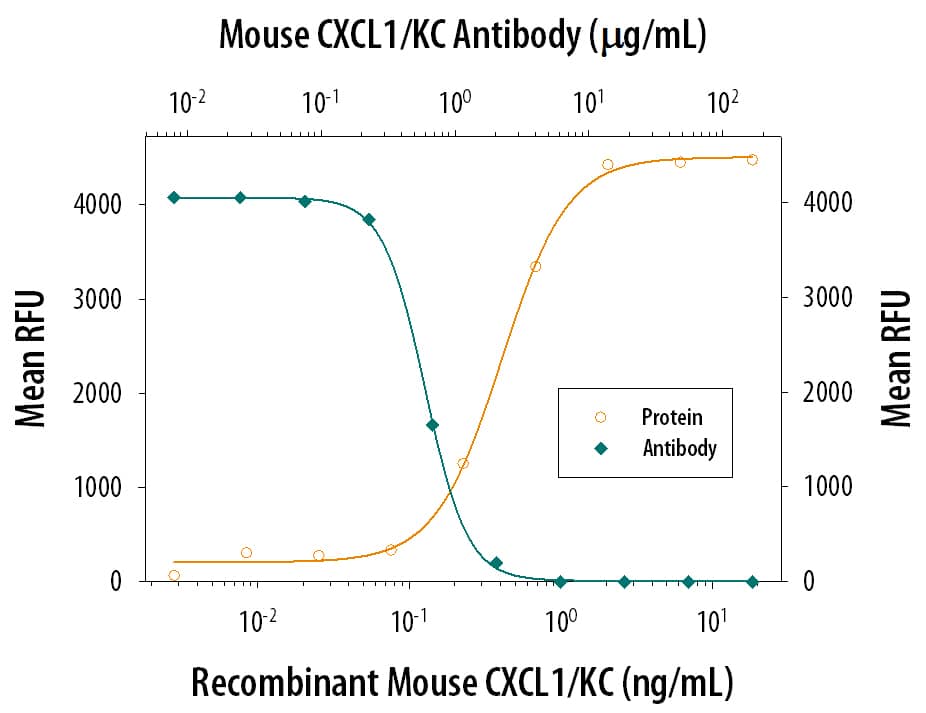 Recombinant Mouse CXCL1/KC (453-KC) chemoattracts the BaF3 mouse pro-B cell line transfected with human CXCR2 in a dose-dependent manner (orange line). The amount of cells that migrated through to the lower chemotaxis chamber was measured by Resazurin (AR002). Chemotaxis elicited by Recombinant Mouse CXCL1/KC (30 ng/mL) is neutralized (green line) by increasing concentrations of Goat Anti-Mouse CXCL1/KC Antigen Affinity-purified Polyclonal Antibody (Catalog # AF-453-NA). The ND50 is typically 0.3-1.5 µg/mL.